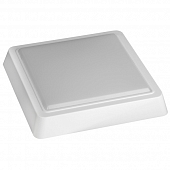 Настенно-потолочный светильник  SPB-4-10-4K 