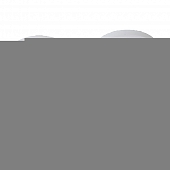 Потолочный светильник  1017 