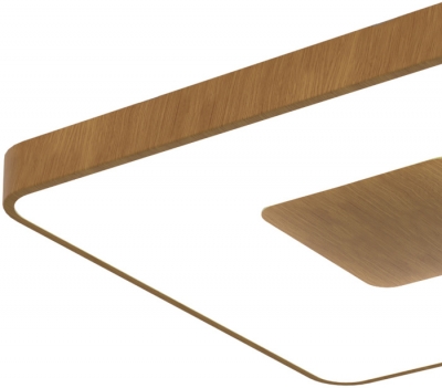 Потолочный светильник Coin 7918