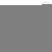 Настенно-потолочный светильник  WLFS18W04 