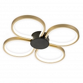 Потолочная люстра  10243/4LED 