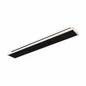 Потолочный светильник Shine FR6105CL-L40B 