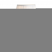 Интерьерная настольная лампа  L6161 GD 