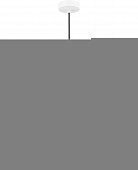 Подвесной светильник  SL6208.711.12 