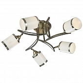 Потолочная люстра 713 713-507-05 