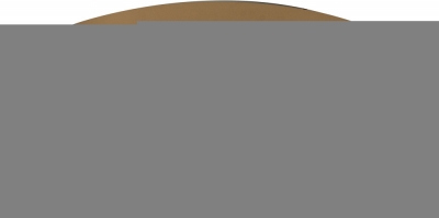 Потолочный светильник Niseko 8642