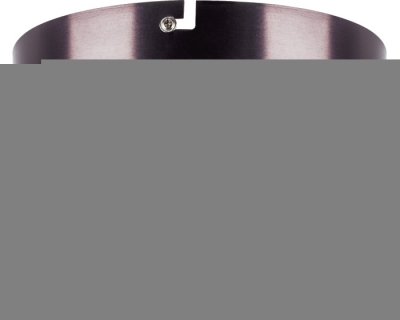 Потолочный светильник Celesta 809200