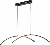 Подвесной светильник Skyline 10212/S LED Black 