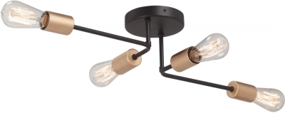 Потолочная люстра  V3005-1/4PL