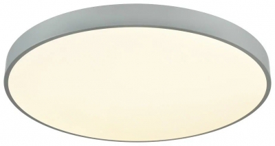 Потолочный светильник  444-267-01