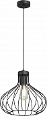 Подвесной светильник  V2851-1/1S 