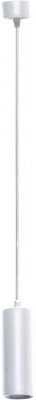 Подвесной светильник Rollo DL18895R10N1W S