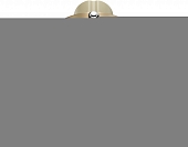 Точечный светильник Slim DL027-2-01-MG 