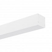 Настенно-потолочный светильник LINE 056965 