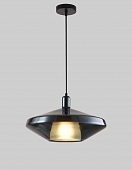 Подвесной светильник  F2824-21 