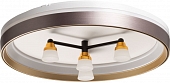 Потолочный светильник Норден 660014701 