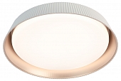 Потолочный светильник  SPB-6 Bella  48W-3K-6,5K WH 