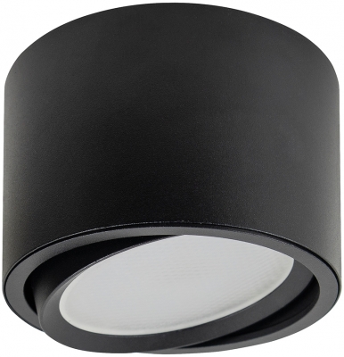 Точечный светильник  41995