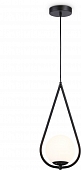 Подвесной светильник Traditional TR2598 