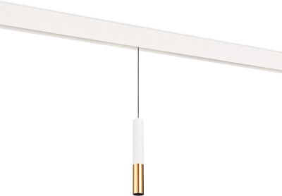 Трековый светильник Tandem DL20298WW5WS