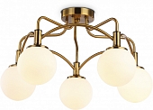 Потолочная люстра TRADITIONAL TR3212 