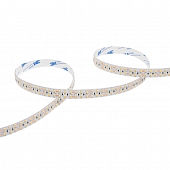 Светодиодная лента  WLS2835-24W/6500/24H240-02 