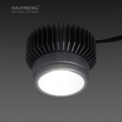 Светодиодный модуль  Raumberg12W4000K