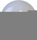 Уличный консольный светильник  НТУ 01-60-251 