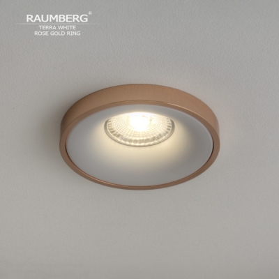 Точечный светильник Terra TerraWh\RGd