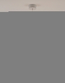 Подвесной светильник Rinna V10865-PL 