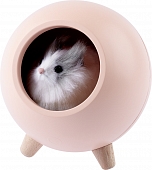 Ночник  NLED-468-1W-P 