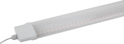 Светильник для растений  FITO-36W-RB-N