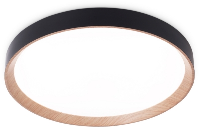 Потолочный светильник Orbital FZ1326