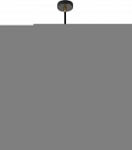 Потолочная люстра Idea 10186/7PL 