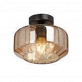 Потолочный светильник  V2559-1/1PL 