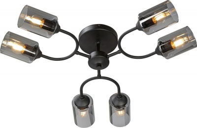 Потолочная люстра  V2823-1/6PL