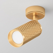 Спот Focus Design C034CL-01G 