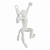 Бра Tenato SLE115111-01 