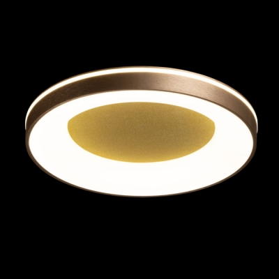 Потолочный светильник Норден 660015601