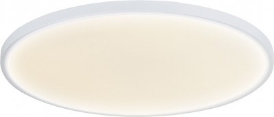 Потолочный светильник Disco DL20171R48NW1W