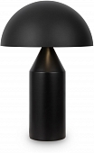 Интерьерная настольная лампа Eleon FR5218TL-02B1 