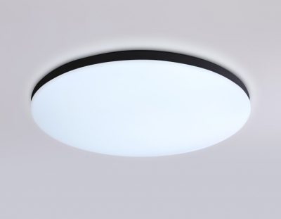 Потолочный светильник ORBITAL FZ2004