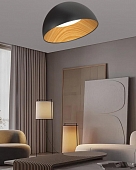 Потолочный светильник  F0724-10 