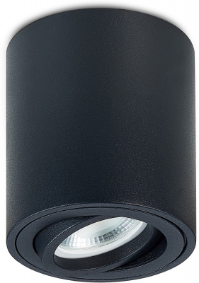 Точечный светильник Basis DL18613R1B