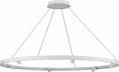 Подвесной светильник Aura Spot S18866R52W1W1200 