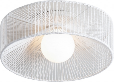 Потолочный светильник Cottage FR5405CL-01W