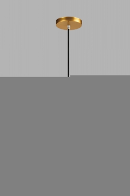 Подвесной светильник Pesaro V10445-1P