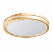 Потолочный светильник Норден 660015401 