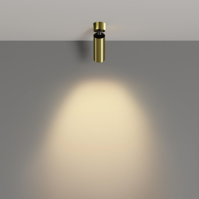 Спот Focus Led C055CL-L12W2.7K-W-BS