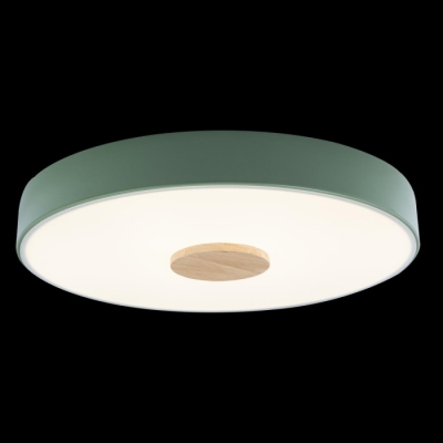 Потолочный светильник Axel 10003/24 Green